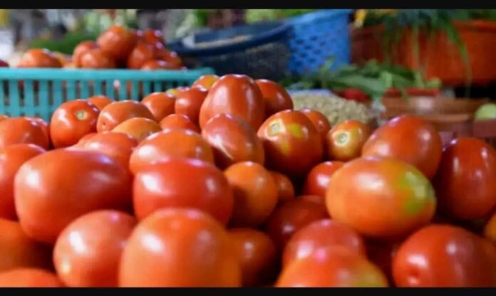 Households see red as tomato price
