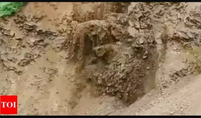 Raigad landslide