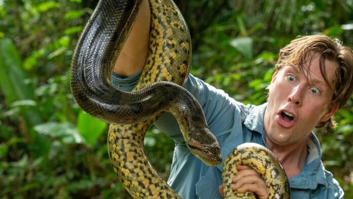 World's biggest snake