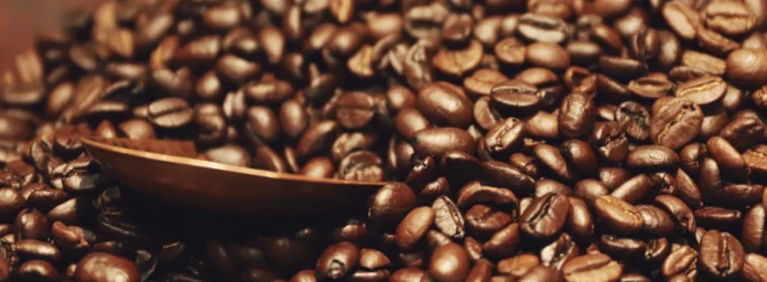 Difference Between Dry and Wet Cappuccinos