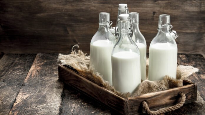 Punjabis and Lactose Tolerance: Unpacking the Genetic Connection