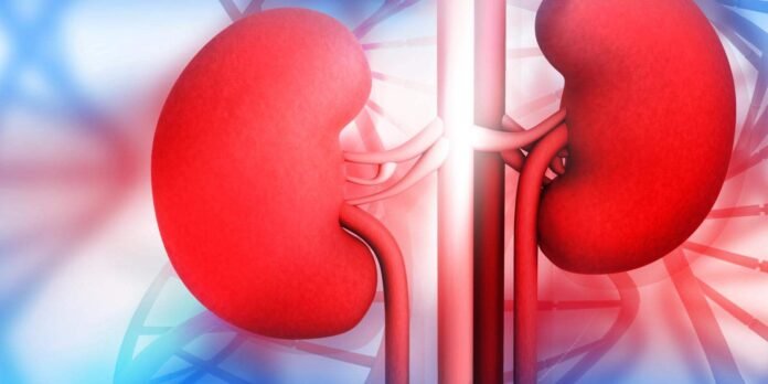 Fact Check: Most Kidney Disease Patients Die from Heart Disease, Not Kidney Failure