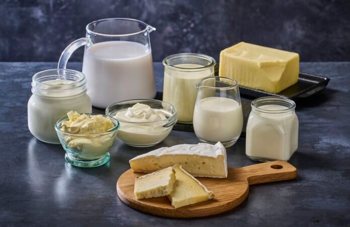 Milk, Paneer, or Curd: Which Dairy Product Is the Healthiest for You?