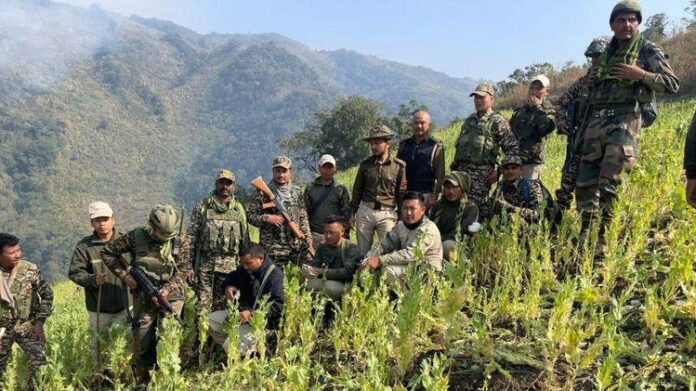 Six acres of poppy plantation destroyed in Kangpokpi