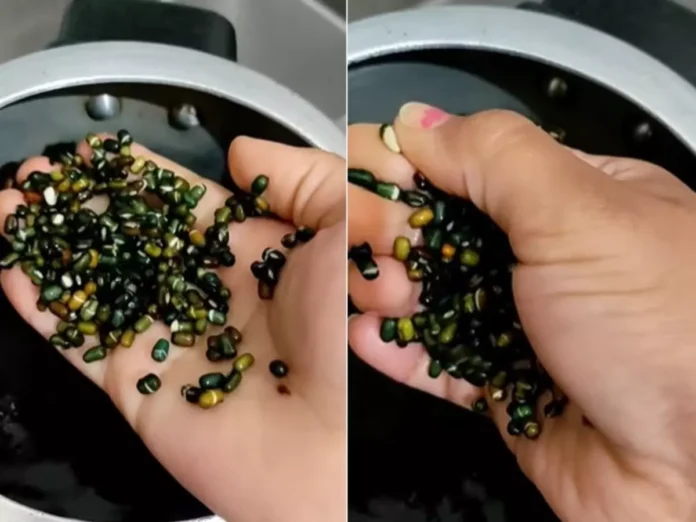 Fake Dyed Kaali Dal