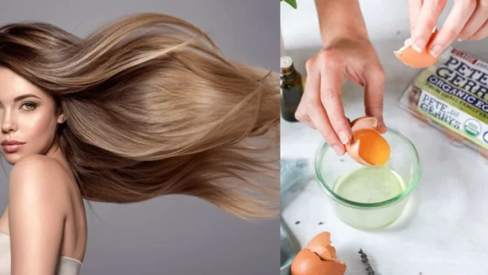Curd and Egg Hair Mask