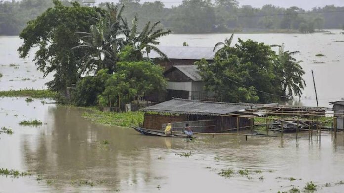 assam flood condition