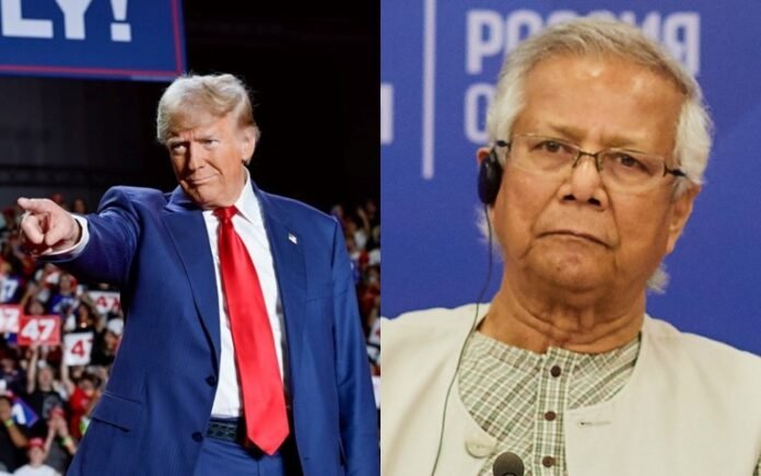 trump and yunus
