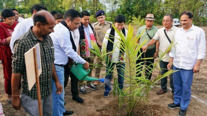 Arunachal's Lower Dibang Valley hosts mega oil palm plantation drive to boost self-reliance