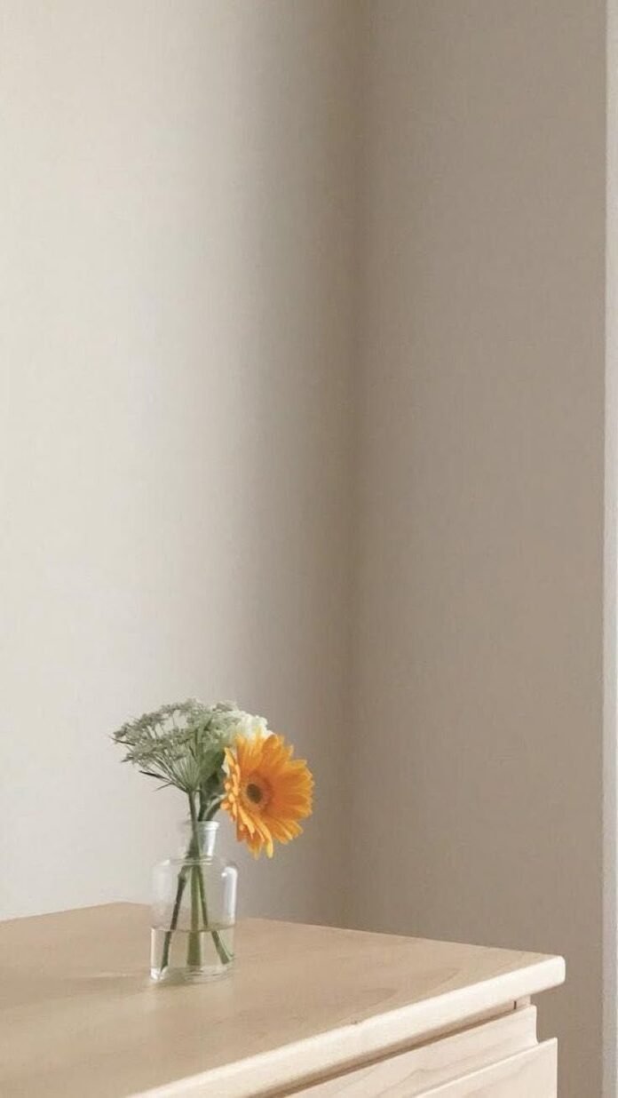Minimalist living