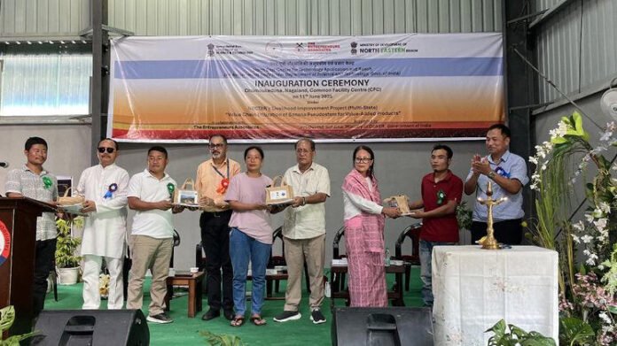 Banana fibre extraction facility in Nagaland empowering rural workers
