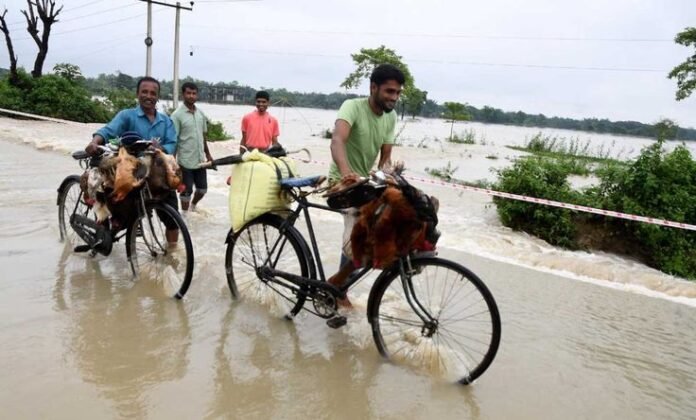 Assam flood situation