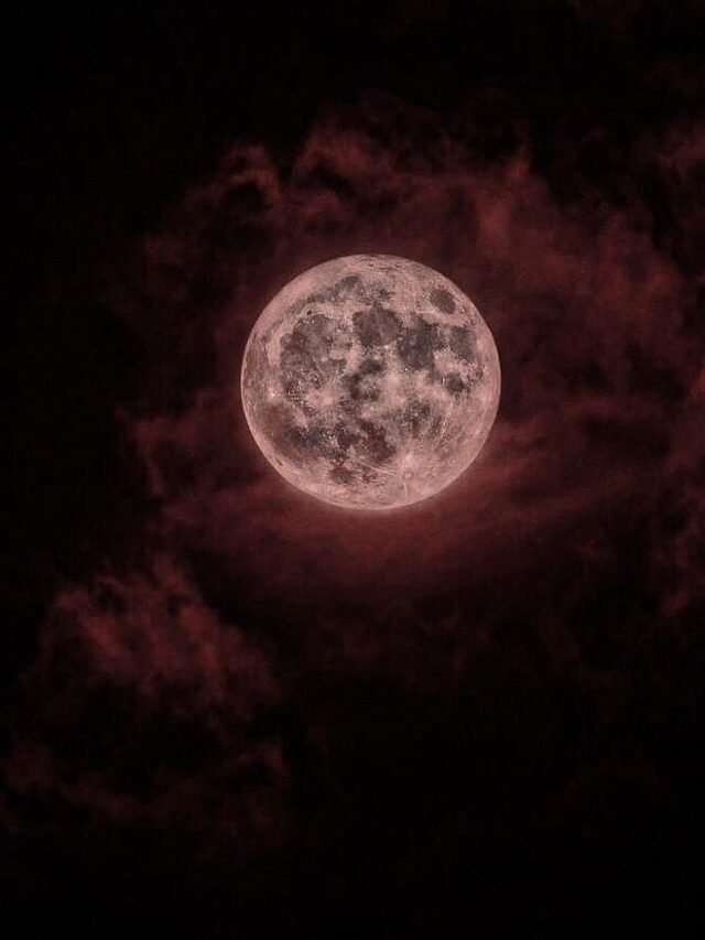 5 Must-Watch Vampire Dramas