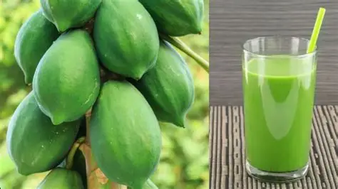 papaya and papaya juice