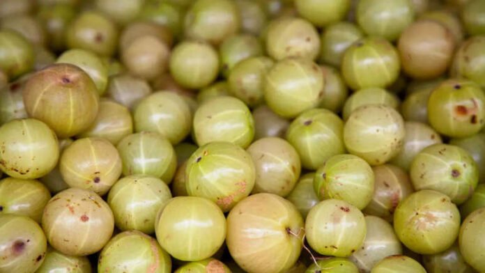 amla