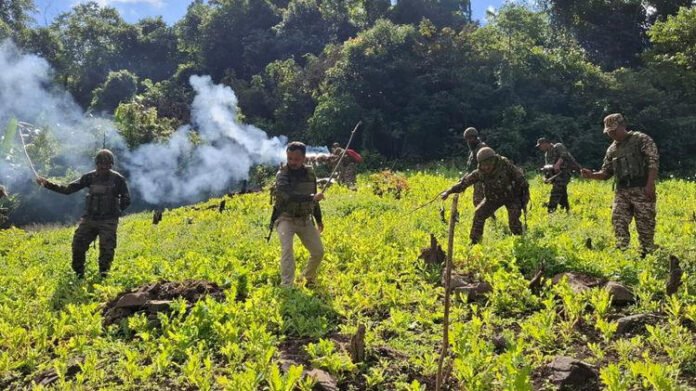 Manipur forces wipe out fresh poppy fields as crackdown expands