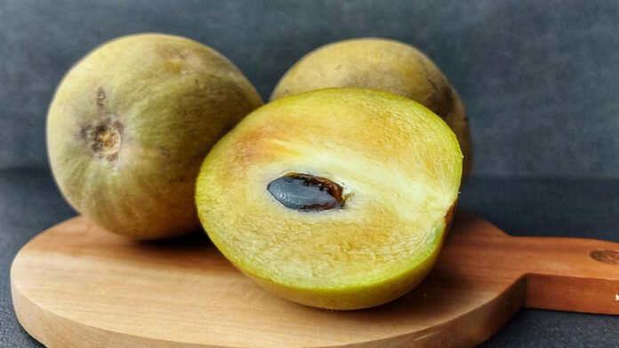 What is Chiku Called in English?