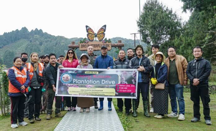 Volunteers planting cherry blossom saplings during Ziro green drive plantation in Arunachal Pradesh