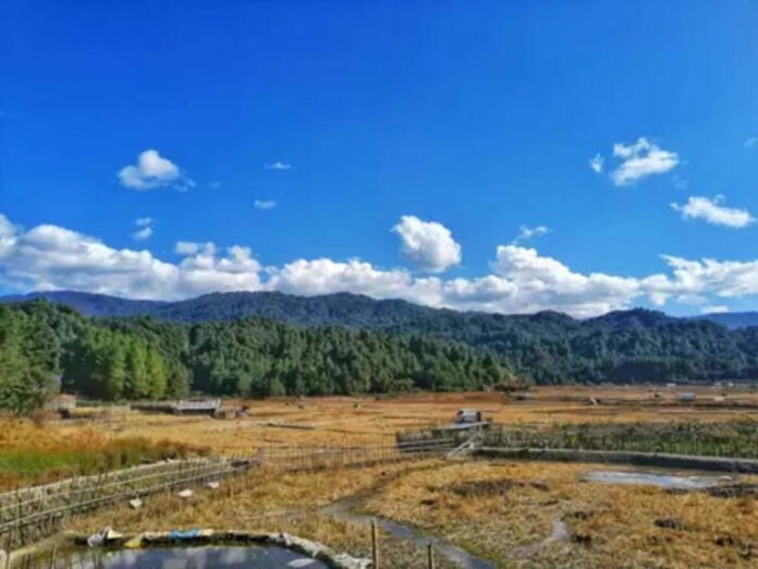 AA24invC Environment Ministry's advisory panel gives nod for forest diversion to build Kalai-II hydel project in Arunachal