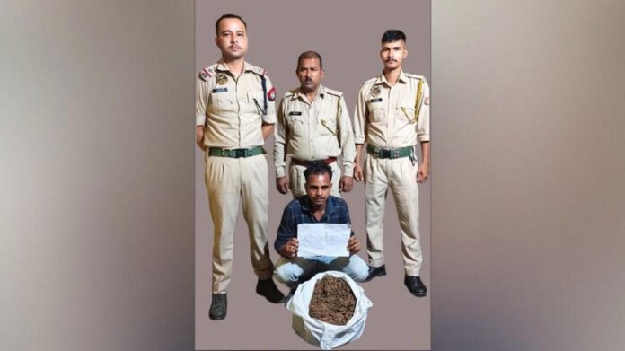 AA25G4oY Guwahati Police arrest drug peddler, seize 6 kg ganja in Basistha operation