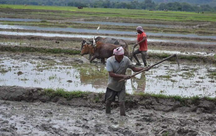 AA25Y84K Northeast India’s indigenous farming gains focus amid climate threats