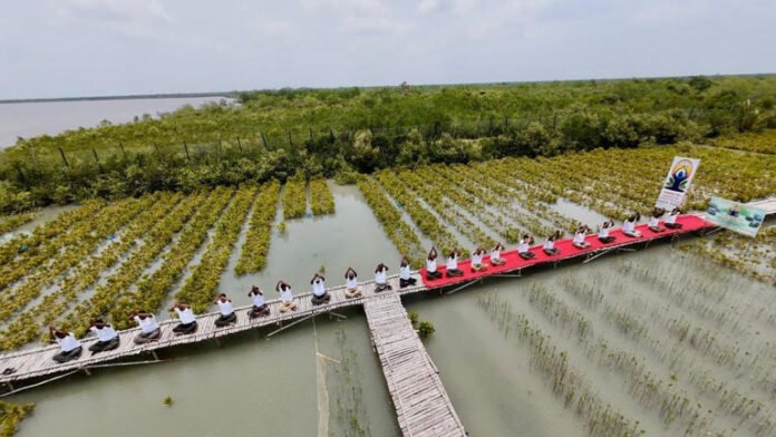 AA25ZEAv West Bengal forest dept takes yoga to Sundarbans, Hills