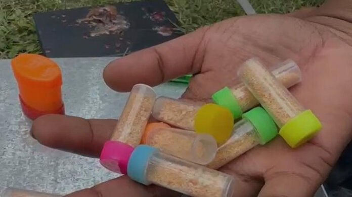 Assam's Sivasagar Police continue anti-drug crackdown, one peddler arrested with suspected narcotics
