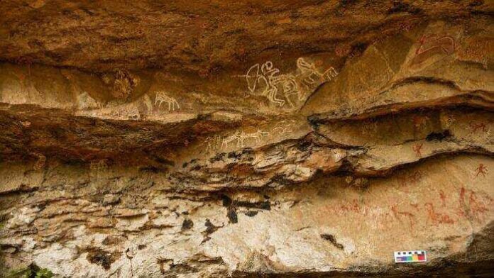 Nagpur University students discover prehistoric rock art heritage in Madhya Pradesh