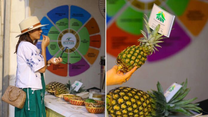 First Tripura Global Pineapple Festival 2026 celebrated in Delhi