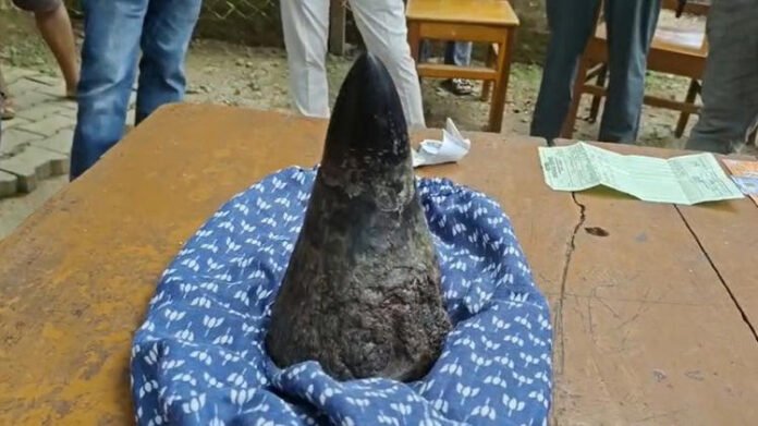 Rhino horn seized in Sonapur resort raid; three suspected wildlife traffickers arrested