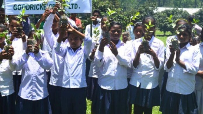 AA26kWN9 Assam's tea garden education landscape transformed with 218 model schools: Himanta