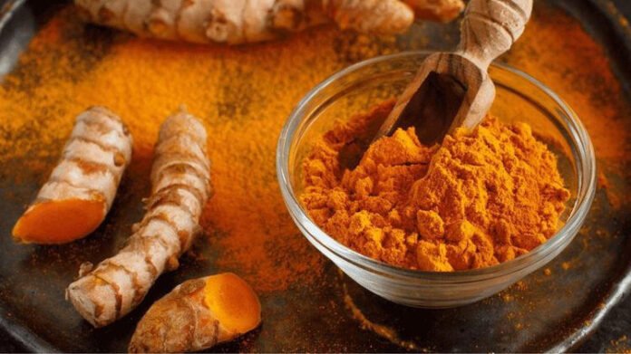 Meghalaya CM thanks PM Modi for showcasing Lakadong turmeric at G7 Summit