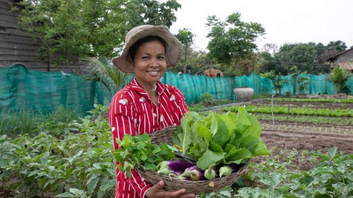 Meghalaya to host international conference on women farmers and sustainable organic agriculture