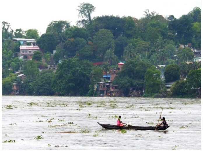 Flooded paddy fields in Assam’s Dhemaji district with submerged standing crops due to sudden heavy rainfall.