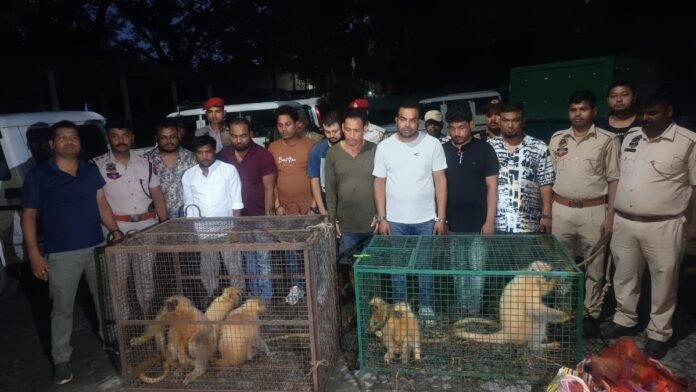 Security forces rescuing human trafficking victims during a cross-state operation in Assam while arresting traffickers in Bihar.