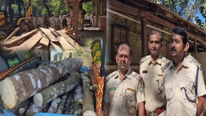 Forest department personnel conducting an anti-smuggling operation in a forested area of North Tripura.