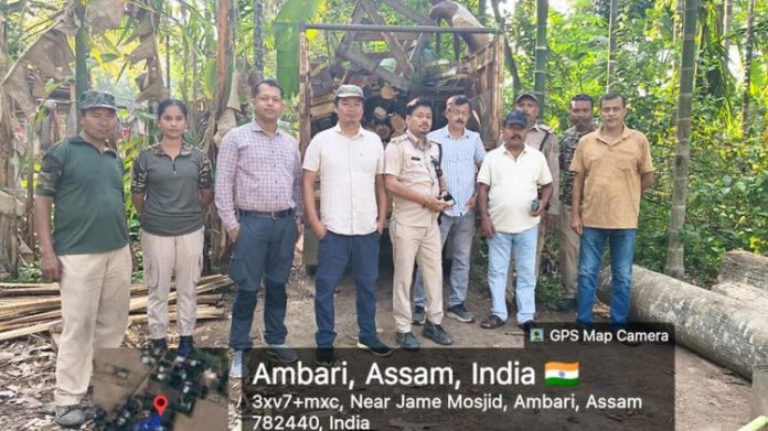 AA26Tg9F Assam Forest Department launches statewide operation to curb illegal timber trade