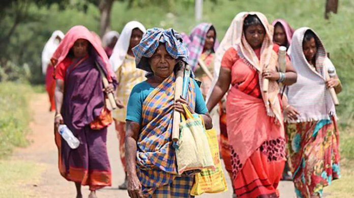 AA275RQL Tripura gets Rs 1,040 crore under Centre's new rural livelihood scheme