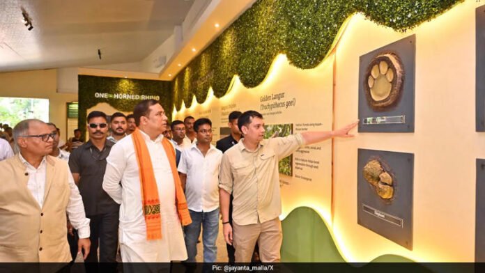 AA276lIu Green Vision: Assam launches Mega Plantation Drive, Indigenous Fruit Mission