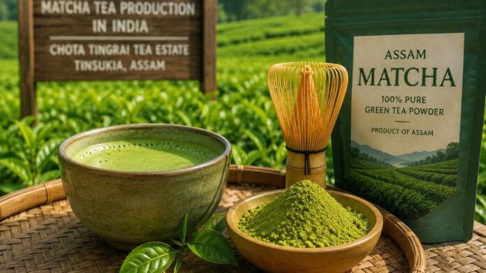 AA278mXC Assam becomes first state in India to commercially produce Matcha tea: Himanta