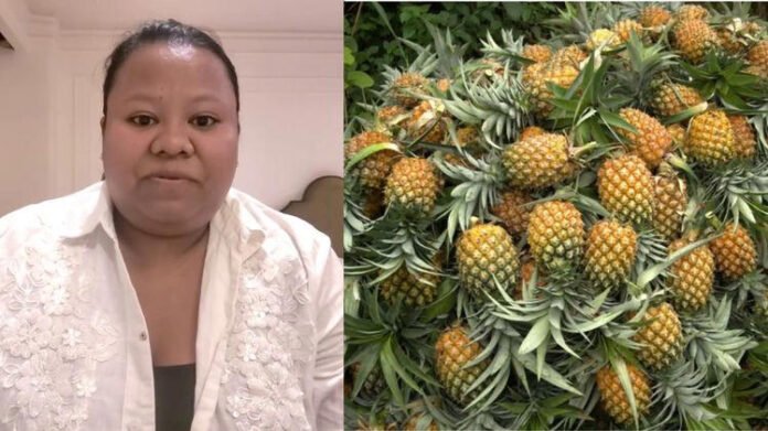 AA27Y5O1 Meghalaya entrepreneur alleges theft at Delhi pineapple festival, seeks swift police action