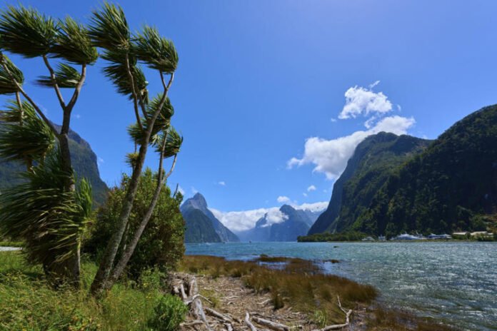 AA282aR0 The tremor was detected around 24 miles north of Te Anau’s World Heritage-listed fjords, welcoming thousands of visitors each year
