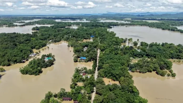 AA28uxpp Assam flood toll rises to 61 after 14 deaths in 24 hours; Central team to assess damage