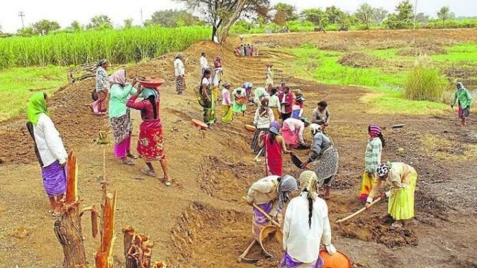 Rural workers participate in a government-supported employment programme as officials review development projects under the enhanced 125-day employment guarantee initiative.