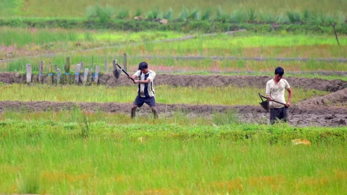 Agriculture officials advise Meghalaya farmers on alternative crop cultivation during the dry July season.