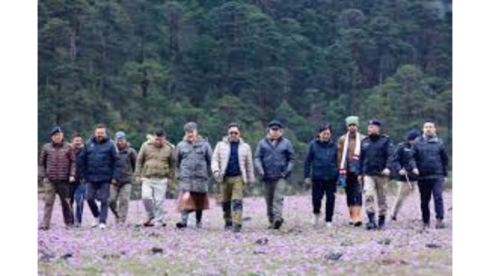 Crucial Push: Mizoram ASF Disaster Status Demand Gains Momentum After NDMA Meeting