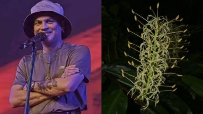Remarkable Hedychium zubeengargianum Discovery Honors Assam Icon Zubeen Garg