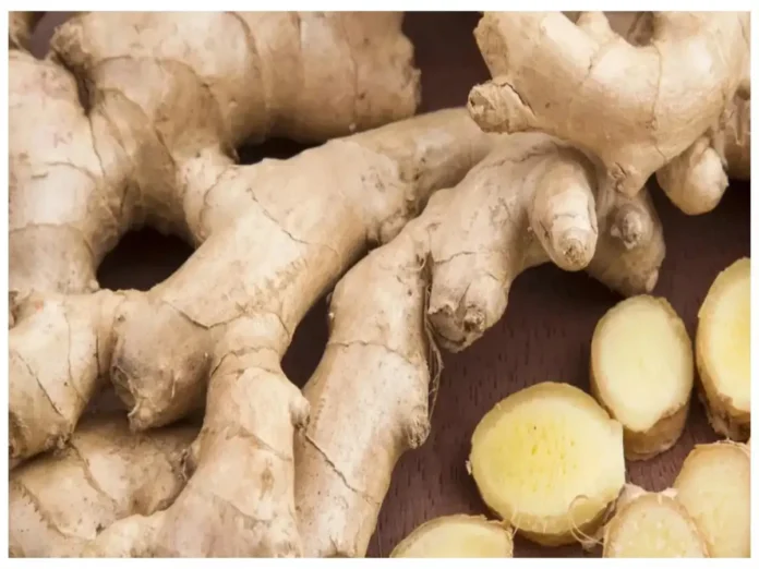 Workers process freshly harvested ginger at an agro-processing facility in Mizoram as the state seeks Central support to strengthen the sector during the monsoon.