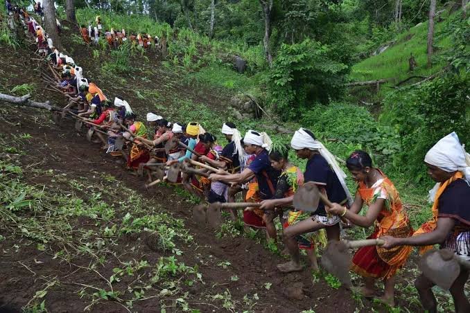 The Nagaland Logging Ban focuses on preventing illegal tree felling across fragile hill tracts