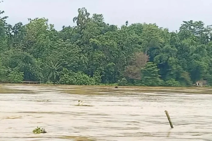 Rising Barak River waters cross the danger mark in Cachar district, prompting precautionary evacuations in vulnerable areas.